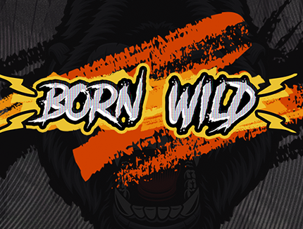 ทดลองเล่นสล็อต BORN WILD