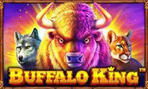 ทดลองเล่นสล็อต BUFFALO KING