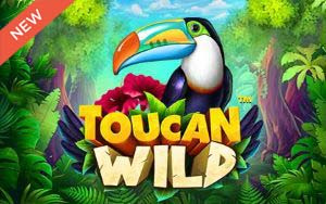 เกมสล็อต Toucan Wild